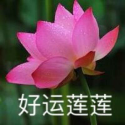 【境内疫情观察】陕西新增151例本土病例（12月28日）